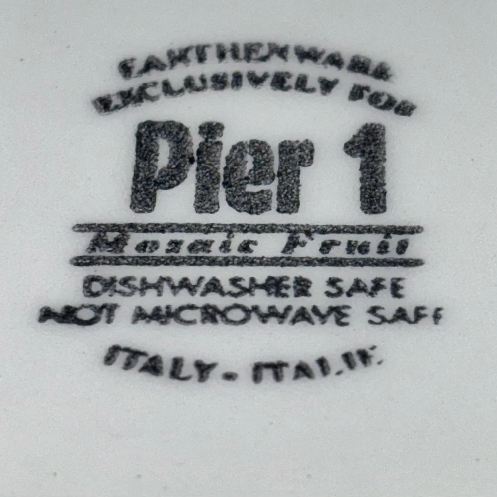 Pier 1 Imports Large Serving Pasta Bowl 